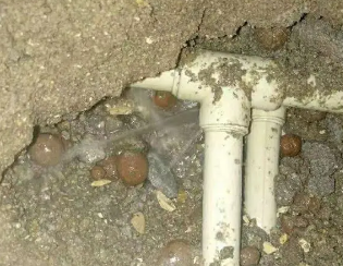 大观卫生间测漏