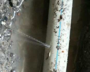 大观卫生间测漏水多少钱